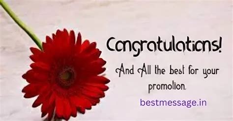 Top 15 Heartfelt Congratulations Messages for .